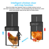 Solar-Powered Smart Automatic Chicken Coop Door – Weatherproof Aluminum Gate with LED Timer Display & Safety Sensor